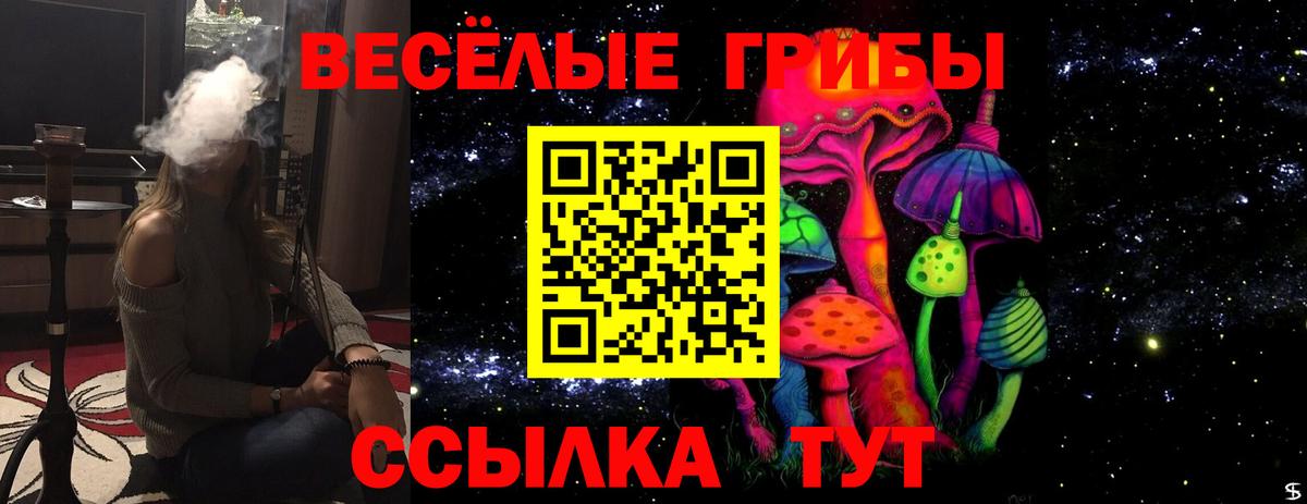 Галлюциногенные грибы мухоморы  Вход с VPN  Россия 