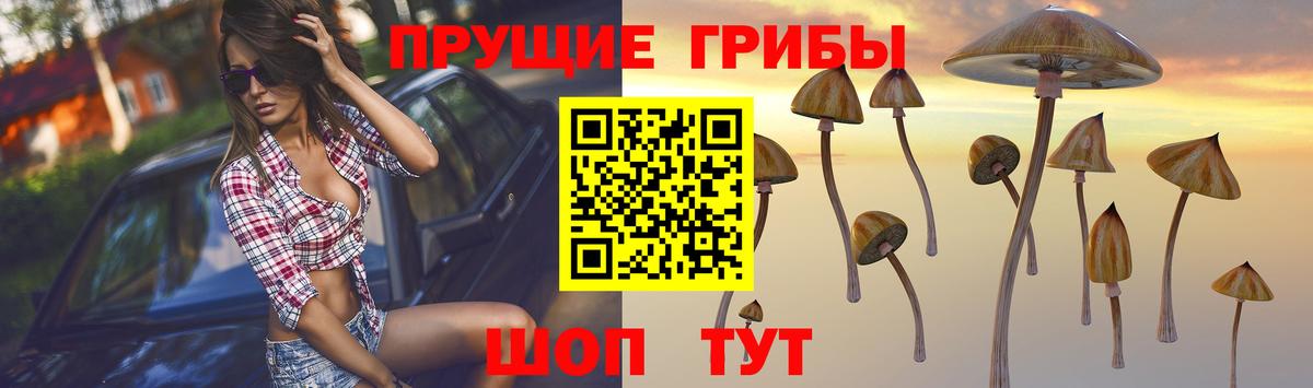 Псилоцибиновые грибы ЛСД Россия